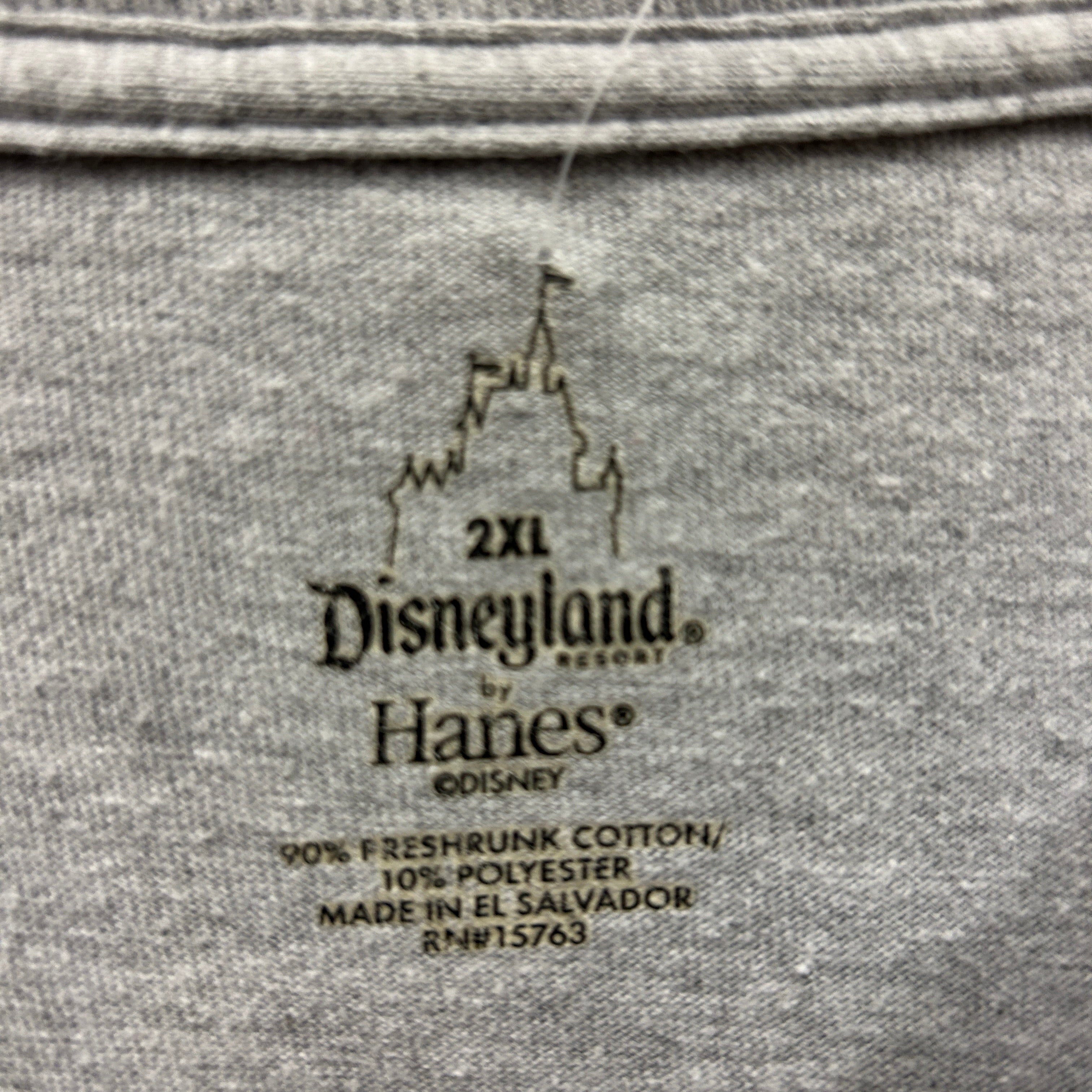 Disneyland Resort By Hanes Sweatshirt
