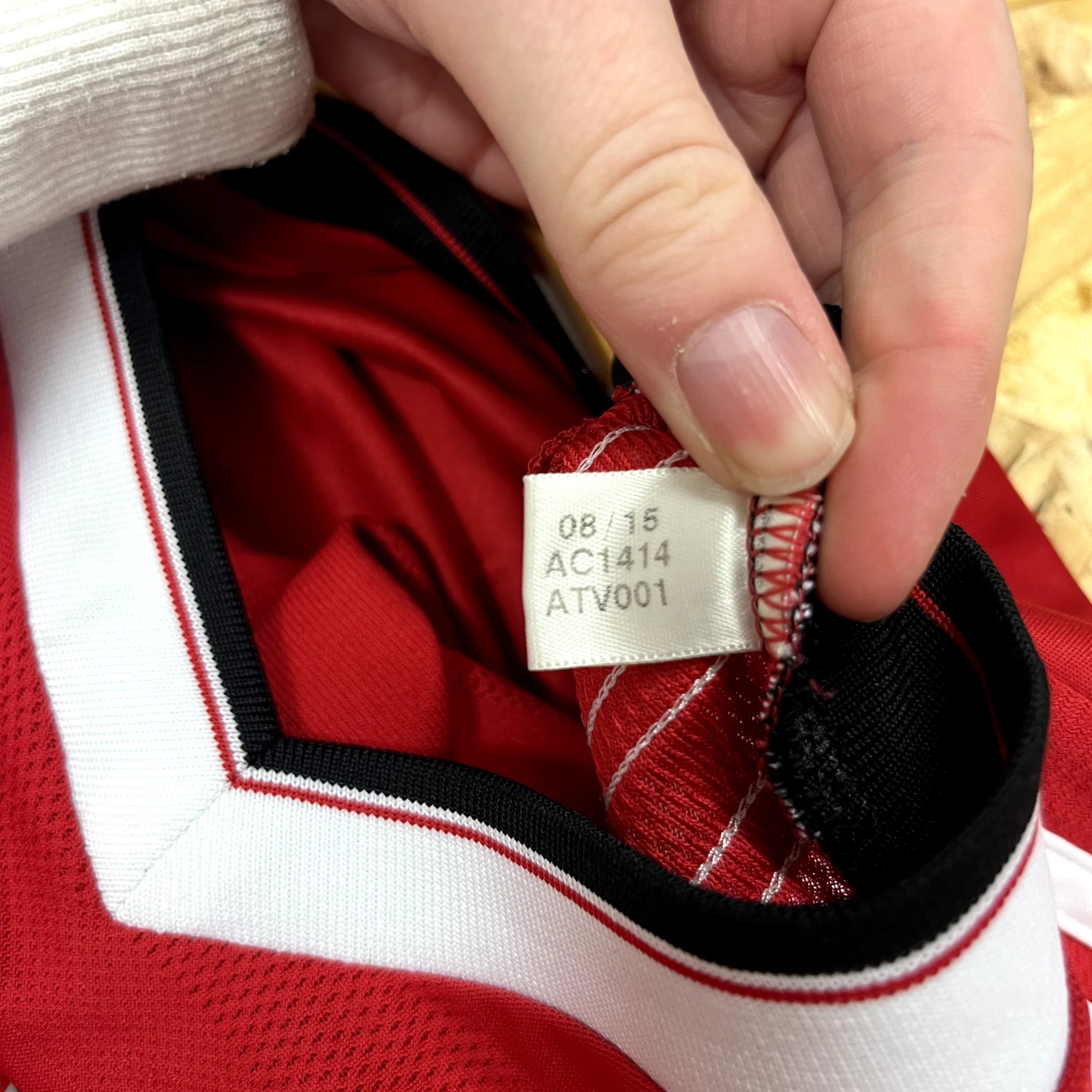 Manchester United 2015/2016