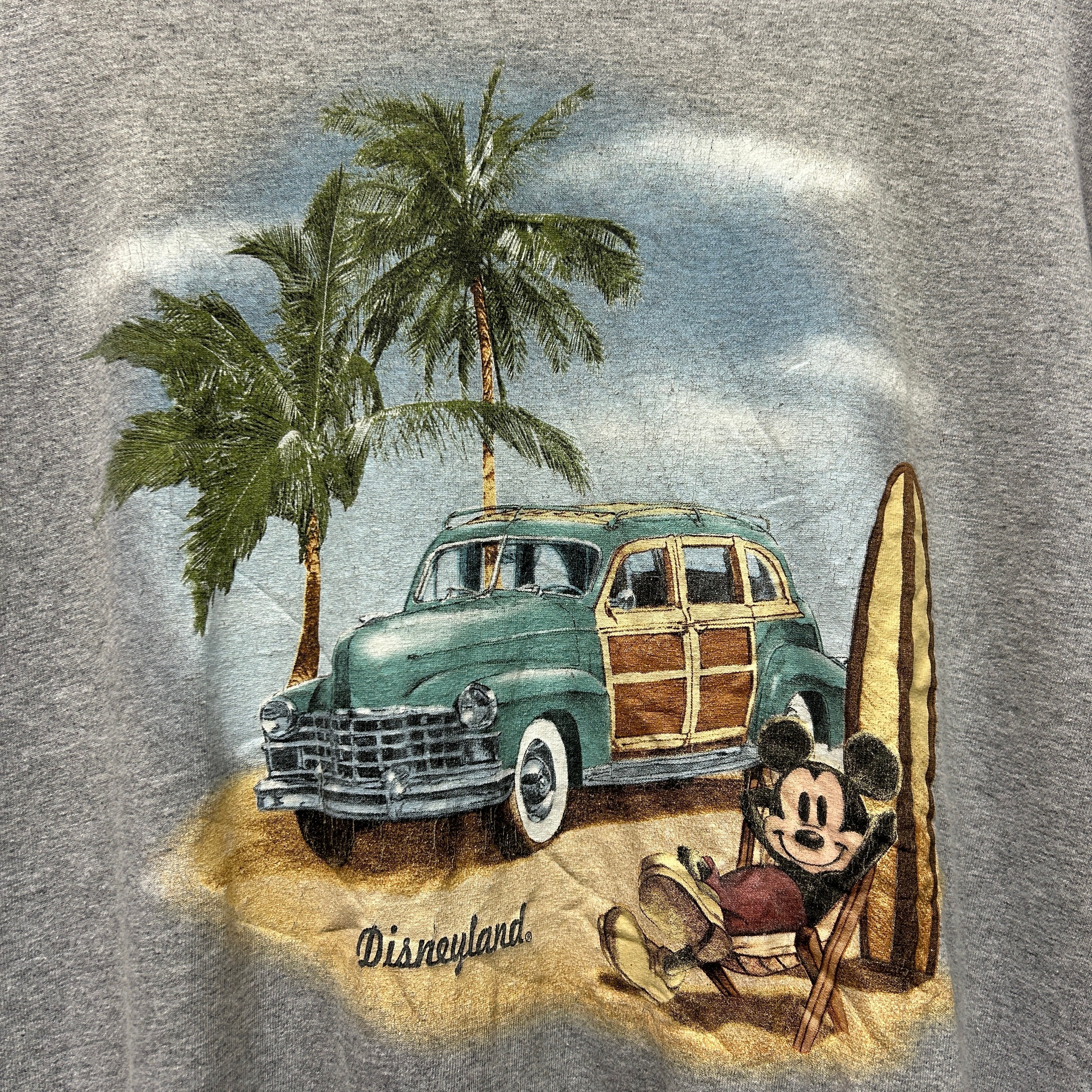 Disneyland Resort T-shirt