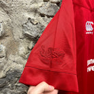 Vintage Britain & Irish Lions Rugby Shirt-2017