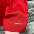 Vintage Britain & Irish Lions Rugby Shirt-2017