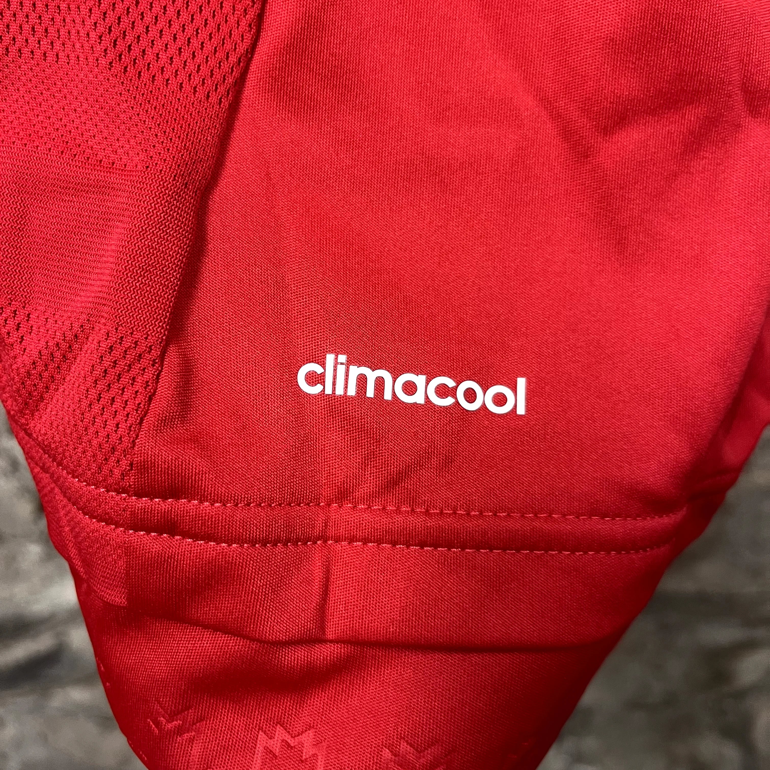 Manchester United 2015/2016