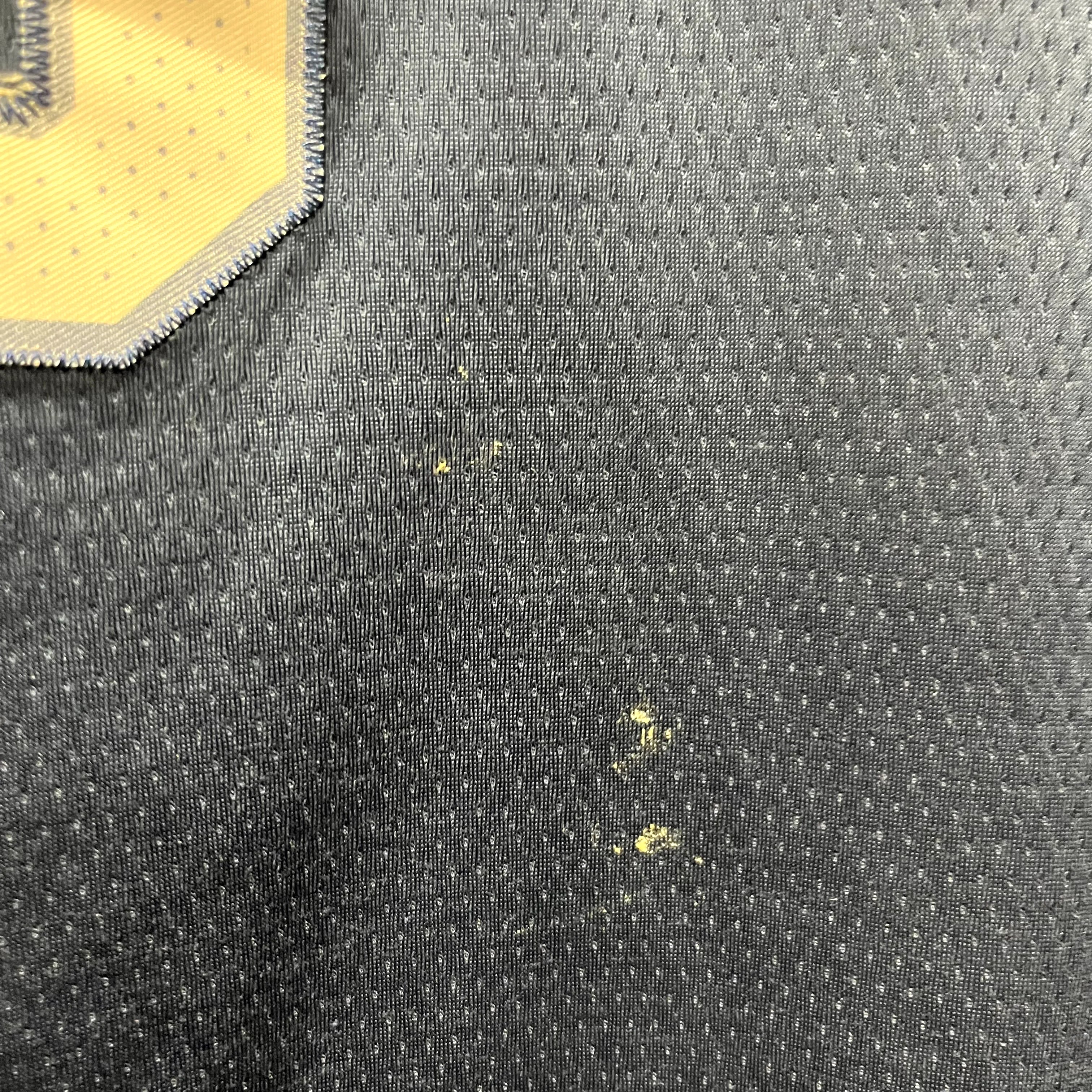 RJ Barrett Basketball Jersey