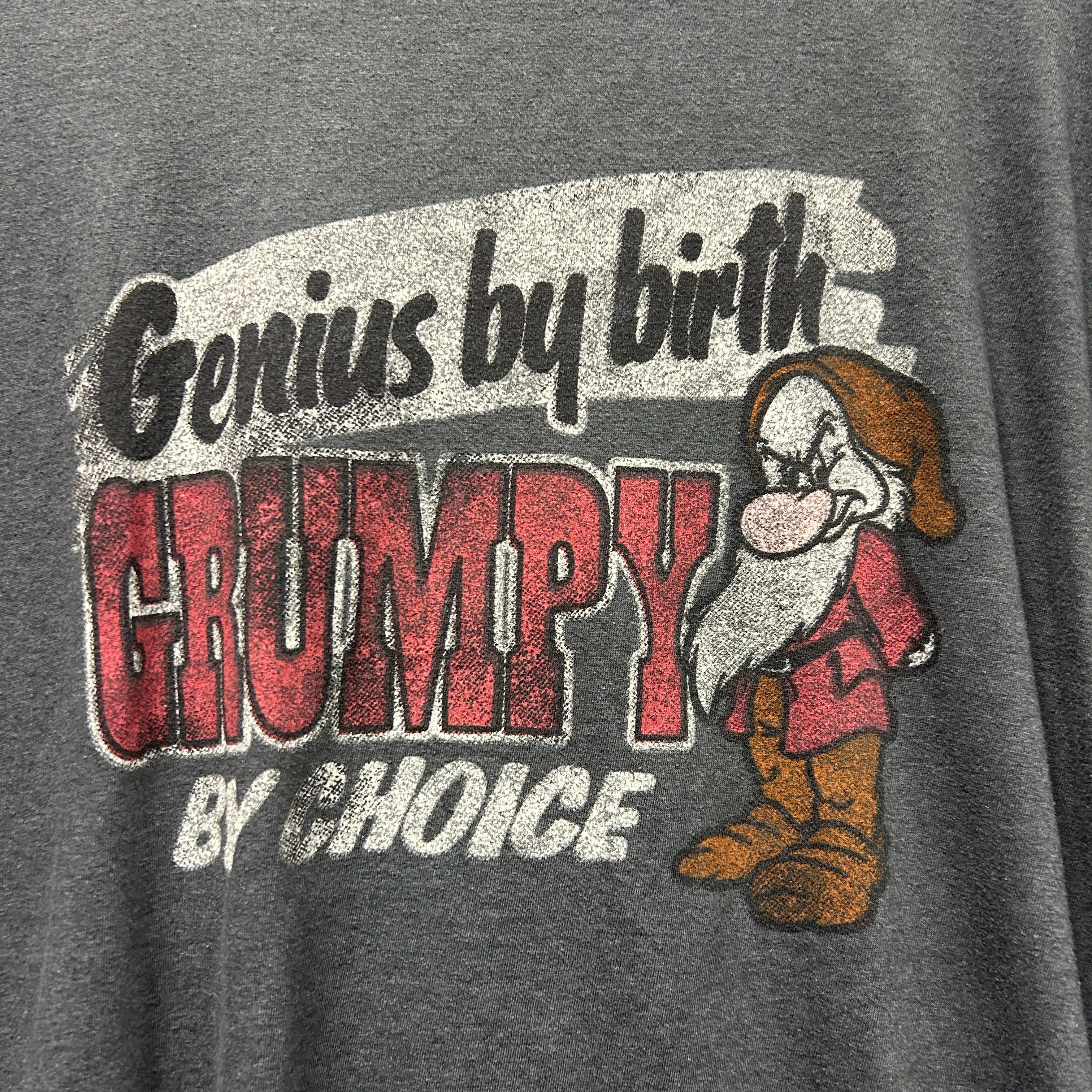 Disney Parks T-shirt