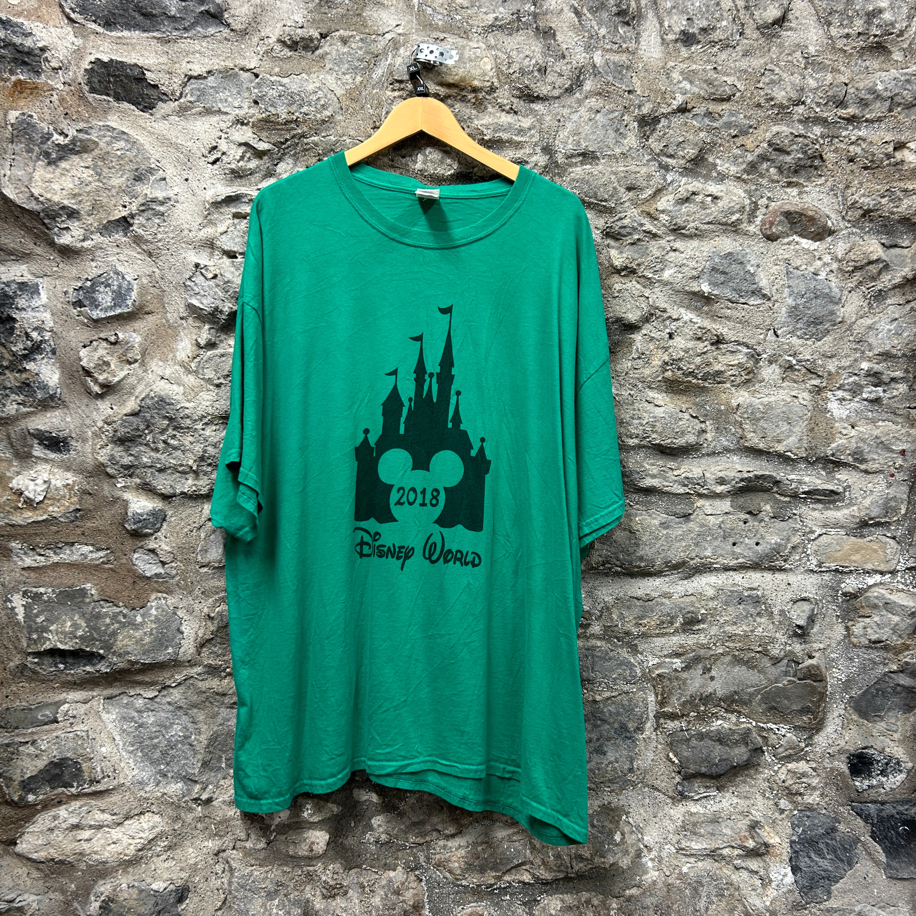 DisneyWorld T-shirt