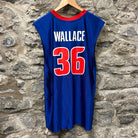 Vintage Detroit Pistons Ben Wallace Nba Basketball Jersey