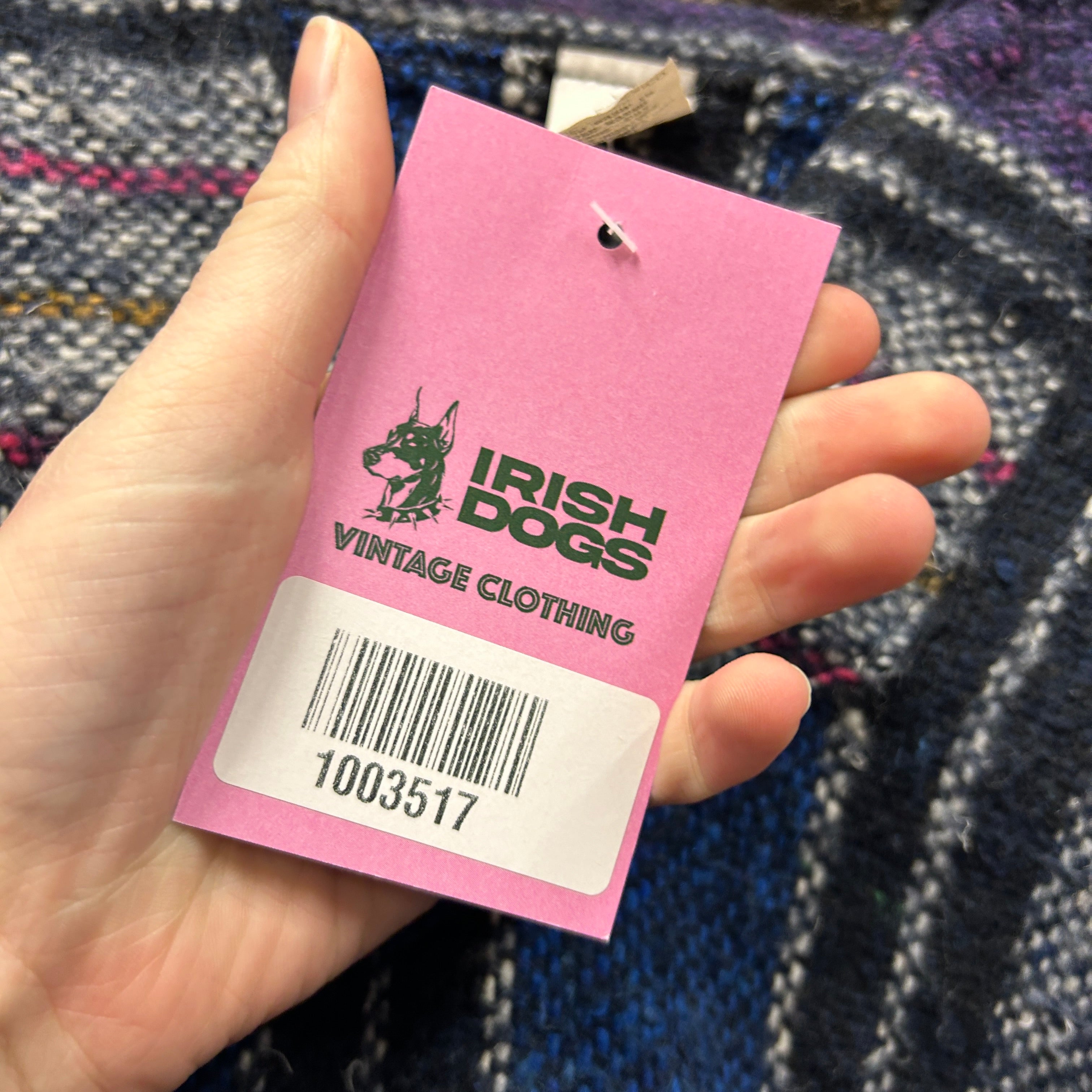 Vintage Sun Specs Baja Hoodie