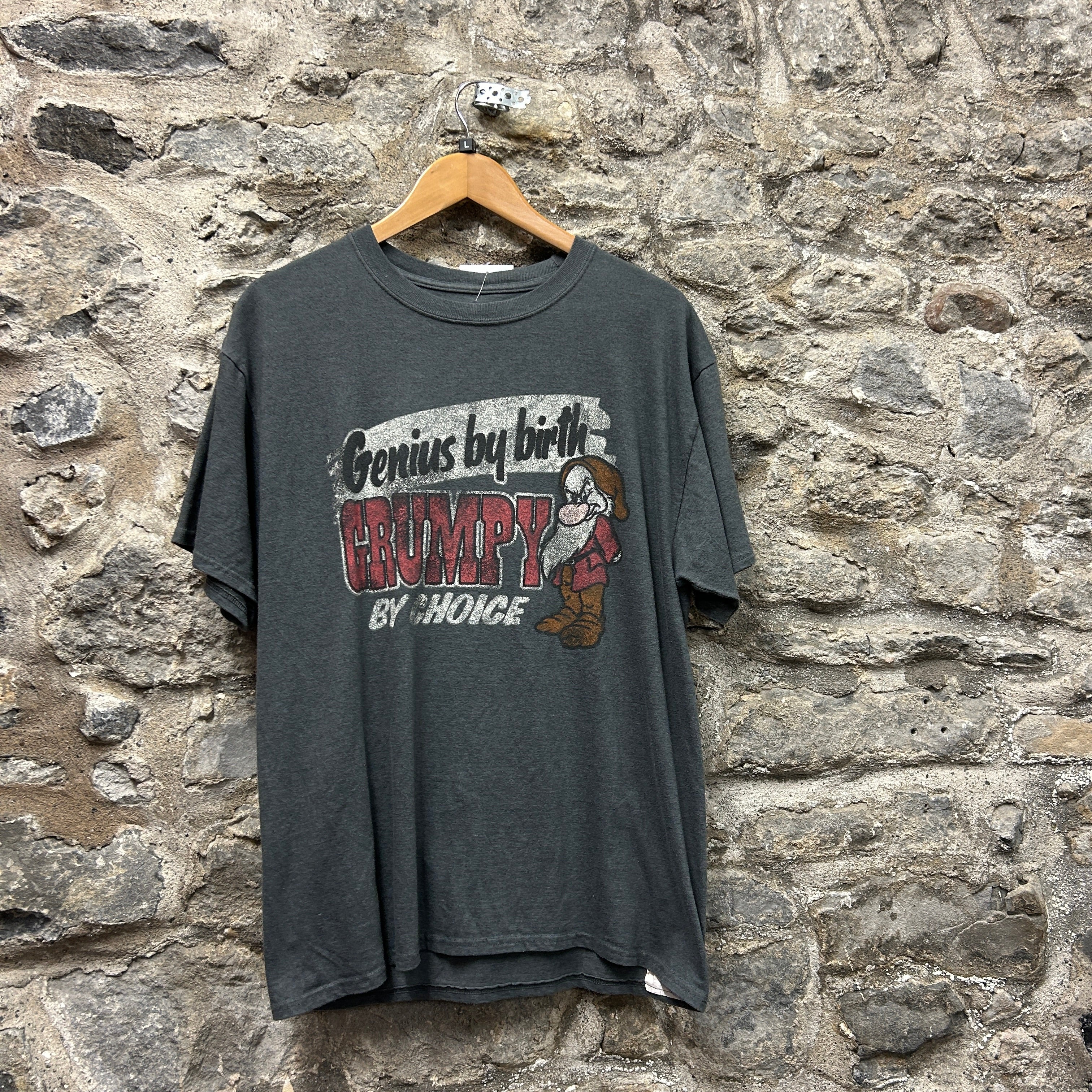 Disney Parks T-shirt